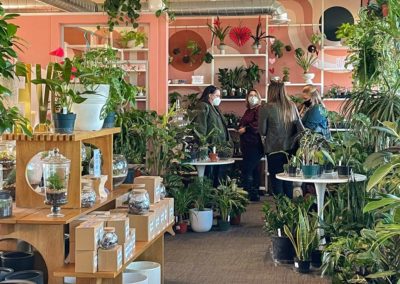 AmpliFi outing at Fern Plant Shop February 2022
