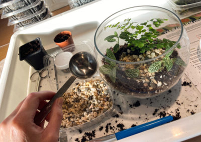 Building a terrarium at Fern Plant Shop February 2022