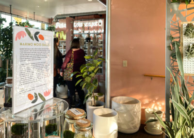 Amplifi people explore Ferns Plant Shop February 2022