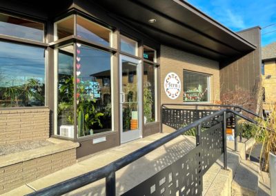 AmpliFi and Fern Plant Shop