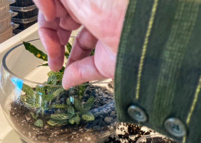 Nicole building a terrarium at Fern Plant Shop February 2022